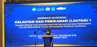 Pelaksanaan Seminar Nasional Kelautan dan Perikanan I (Lautan I) Tahun 2022